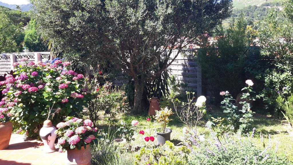 Oda ve Kahvaltı La Chambre De Salome Collioure